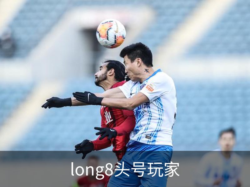 long8头号玩家概况
